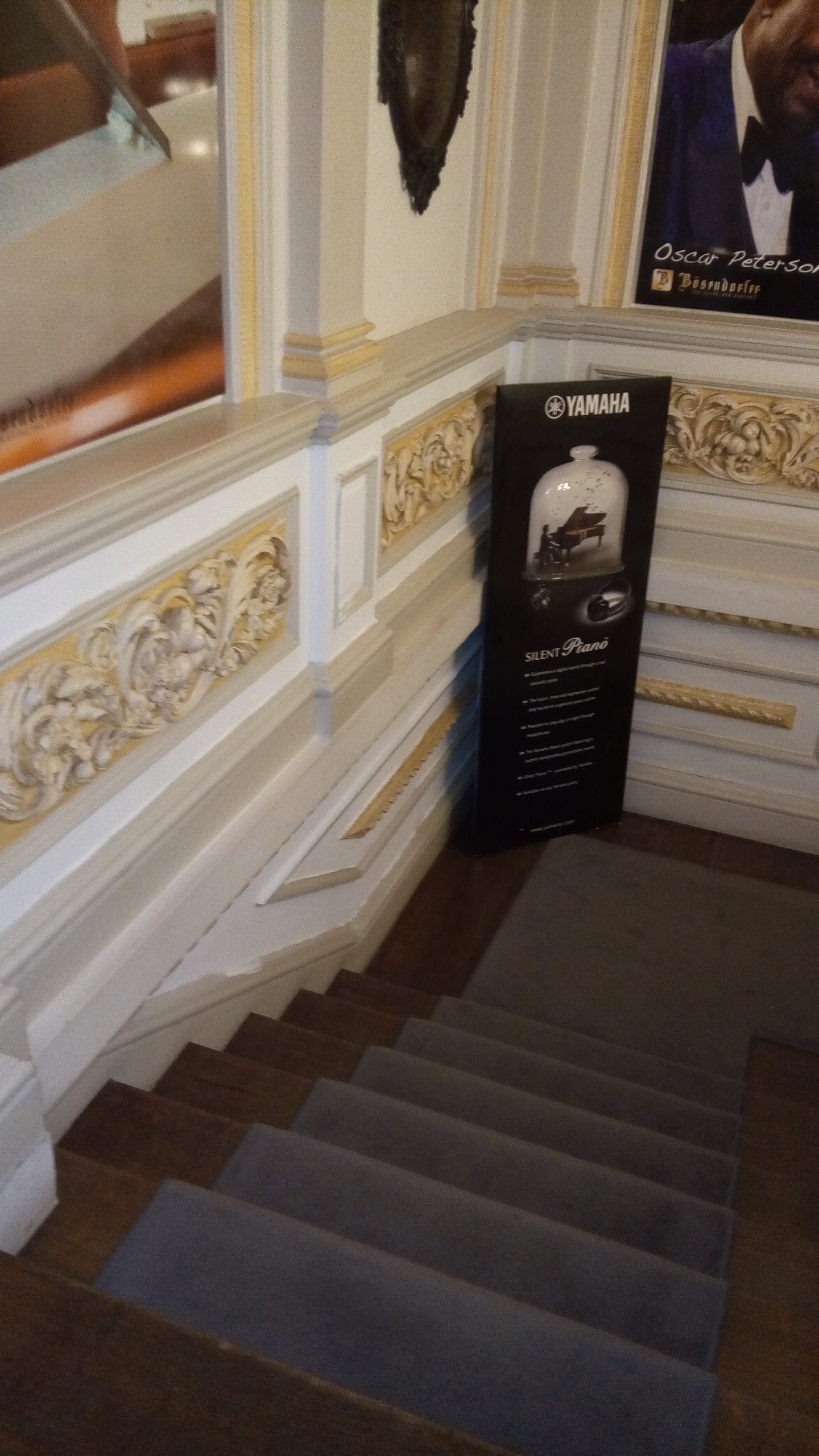 IMG_20170519_192957 (1)