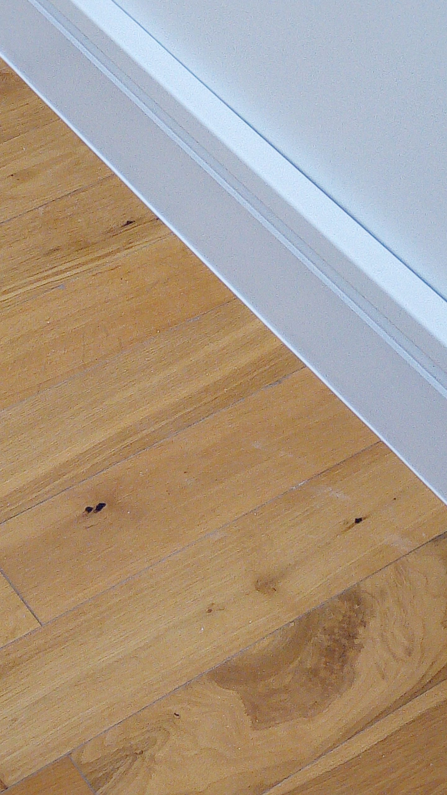 IMG_20171126_102050 (1)